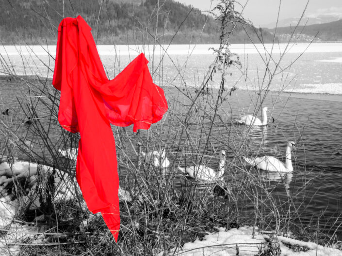 Dreaming Red